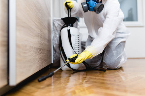 Best Bed Bug Extermination  in Humboldt, KS