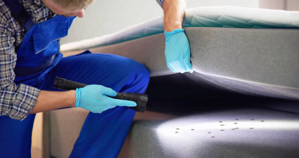 Best Mosquito Control Services  in Humboldt, KS