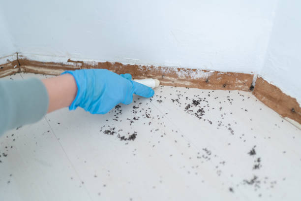Best Pest Control Treatment  in Humboldt, KS