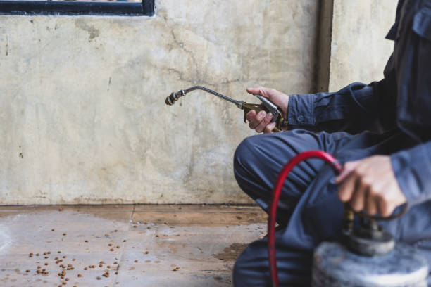 Best Local Pest Control Services  in Humboldt, KS
